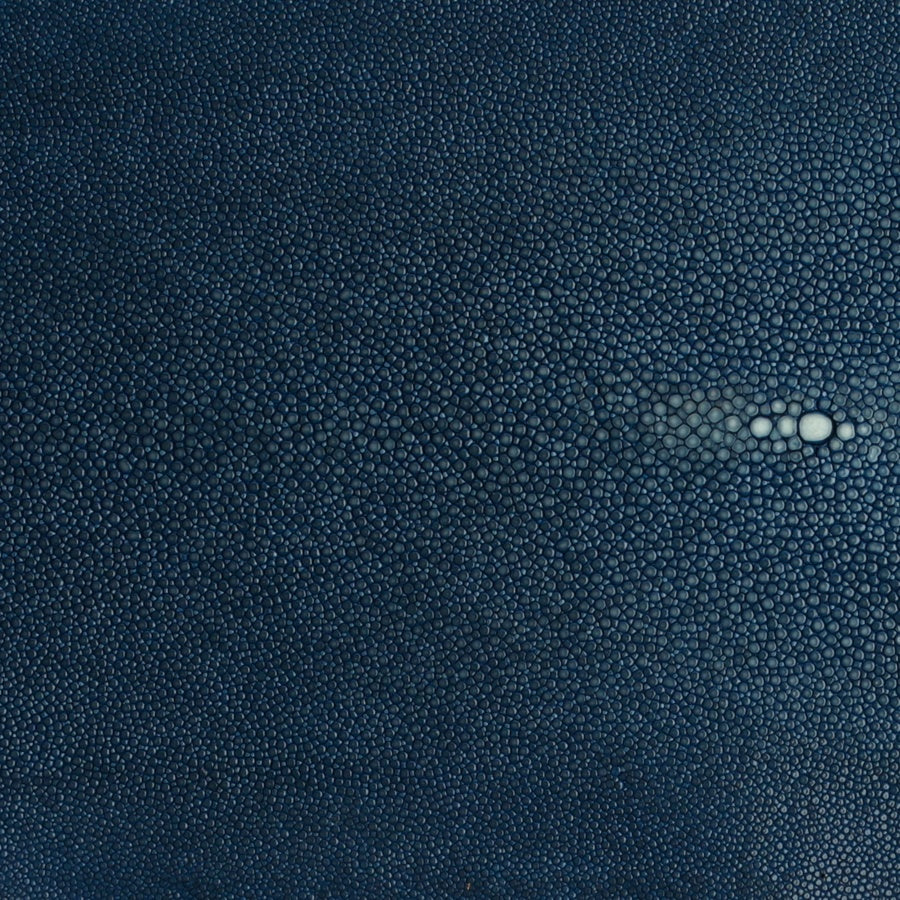 Navy Blue Stingray Leather / Shagreen - Vivo Studios